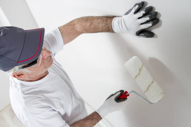  Inverness, CO Mold Removal Pros