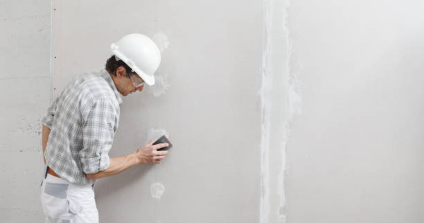 Best Mold Remediation for Healthcare Facilities  in Inverness, CO