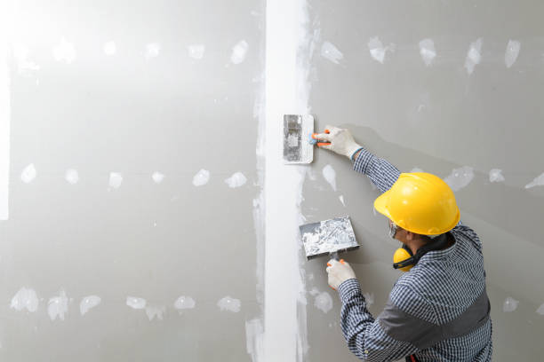 Best Mold Documentation for Insurance Claims  in Inverness, CO